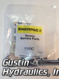 Enerpac P391K2 Hydraulic Hand Pump Repair Kit for 6w462 for sale online 